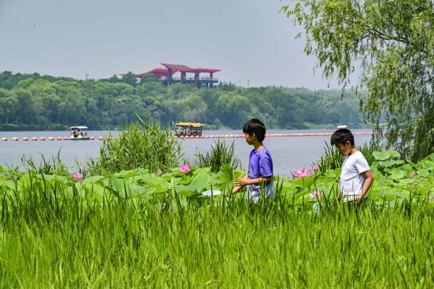 融古建文脉、长河阔野、湿地生态,副中心赏荷别有意趣 融古建文脉、长河阔野、湿地生态,副中心赏荷别有意趣