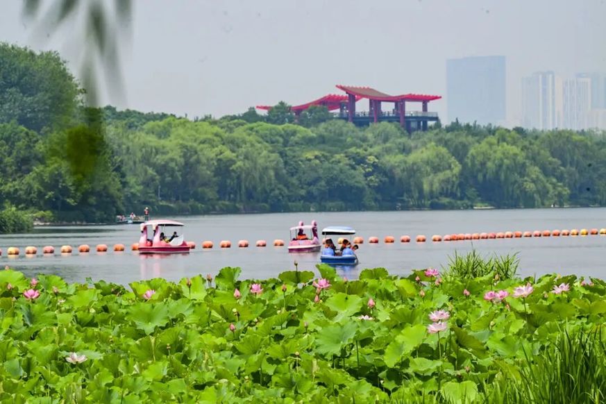 融古建文脉、长河阔野、湿地生态,副中心赏荷别有意趣 融古建文脉、长河阔野、湿地生态,副中心赏荷别有意趣