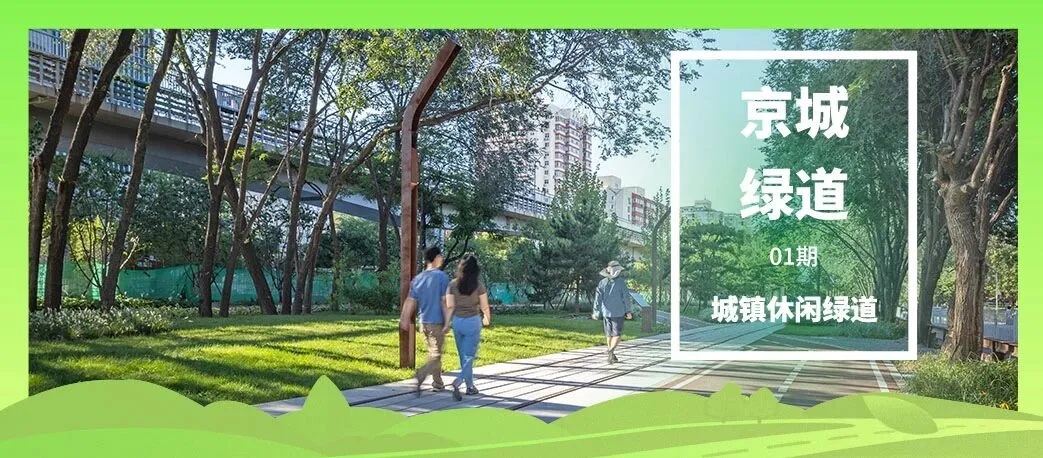 “京城绿道”收官回顾丨五类绿色廊道绘尽京畿绿意