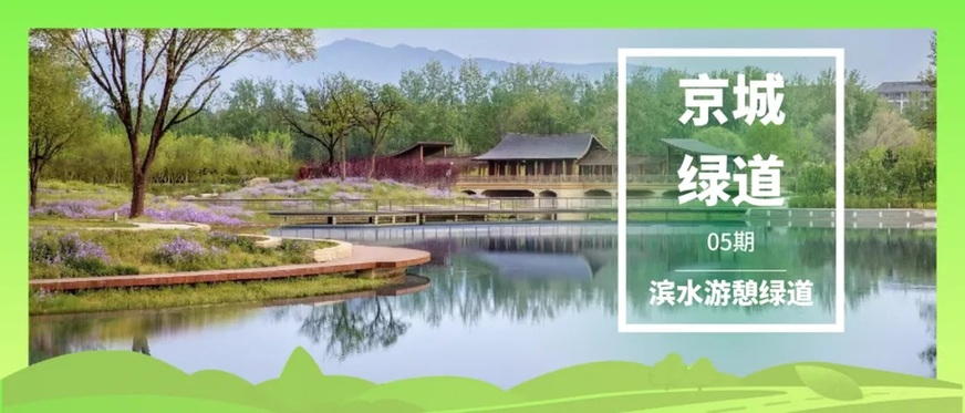 “京城绿道”收官回顾丨五类绿色廊道绘尽京畿绿意