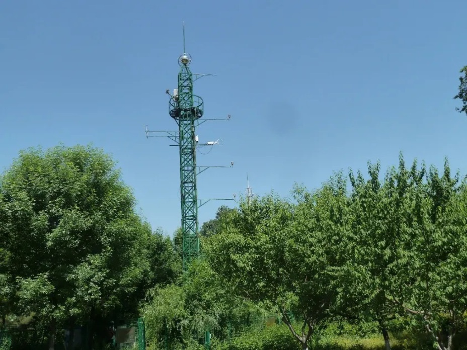 数智感知满城绿意！解码北京城市森林生态价值