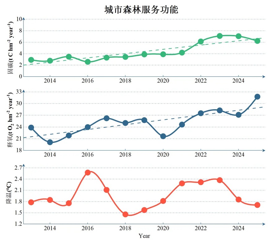 数智感知满城绿意！解码北京城市森林生态价值