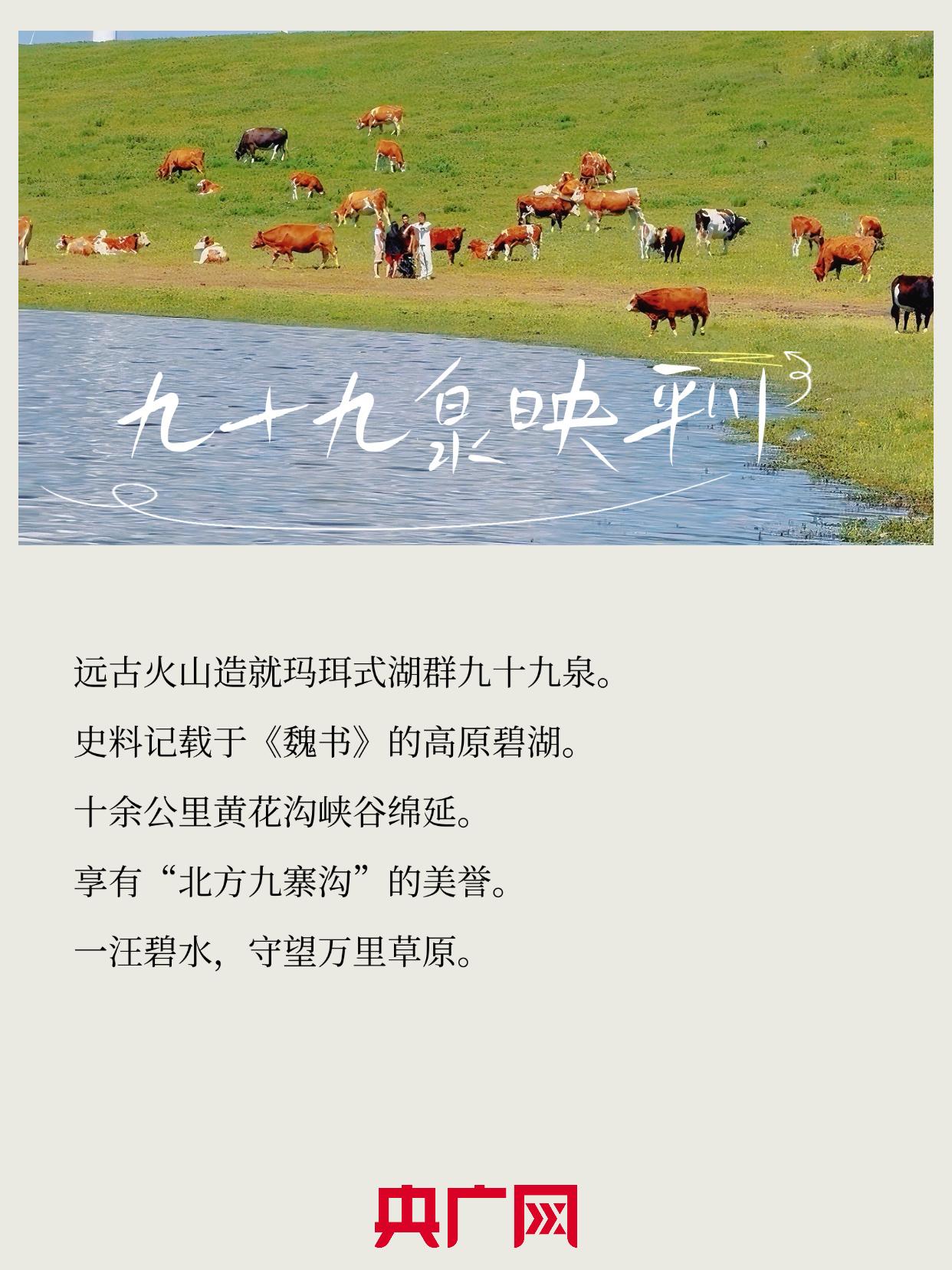 数说绿色 智引发展丨草原夏日来信,避暑纳凉享清欢