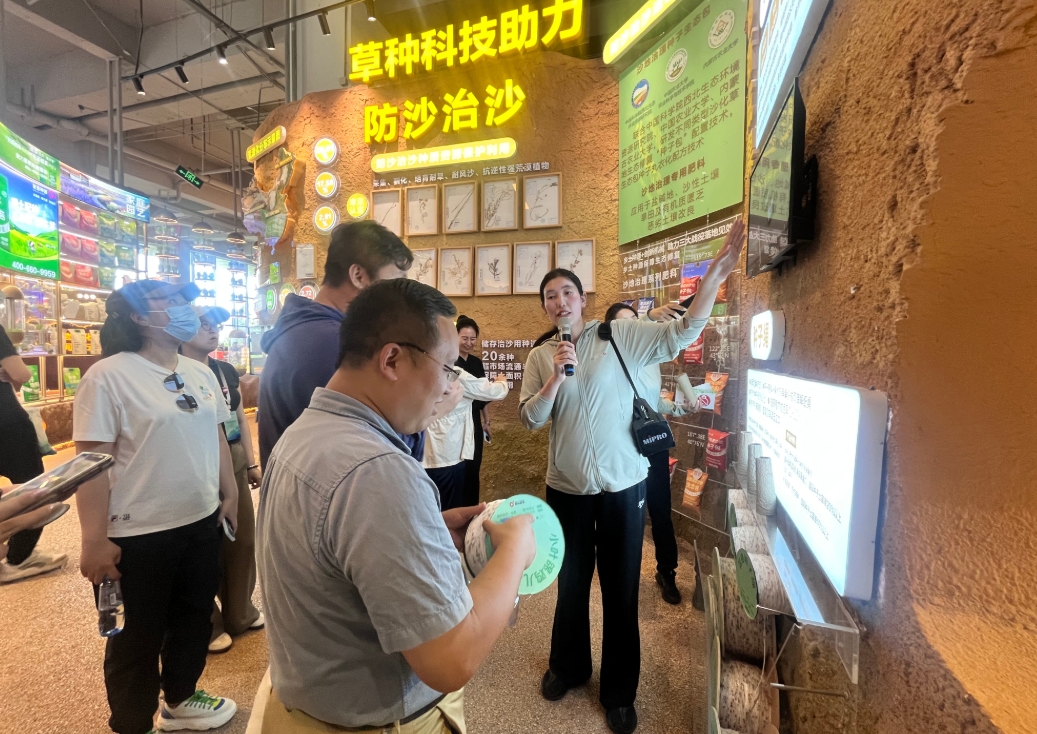 数说绿色 智引发展｜从一粒种子到一片绿洲，看内蒙古生态保护的生动实践