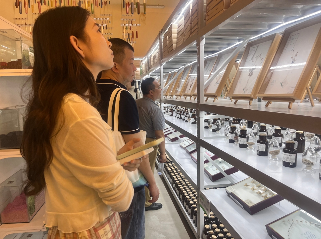 数说绿色 智引发展｜从一粒种子到一片绿洲，看内蒙古生态保护的生动实践