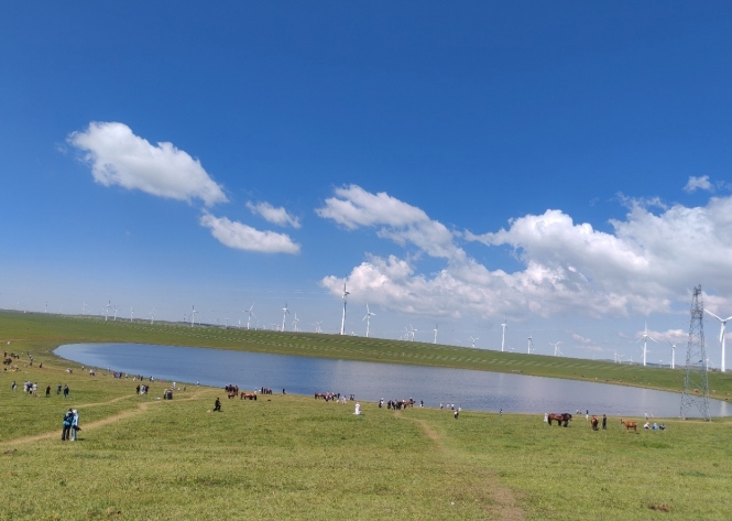 数说绿色 智引发展｜从“沙跑”到“草低”：内蒙古的生态与农旅之变