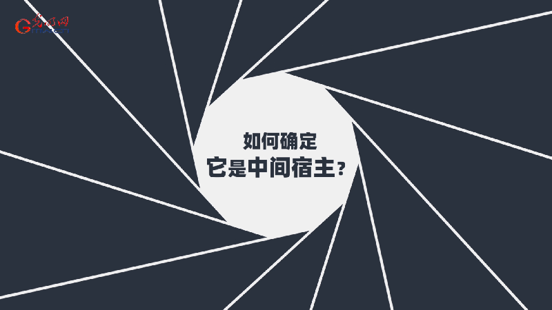 【动科普】新冠肺炎中间宿主之谜 为什么一定要找到它？