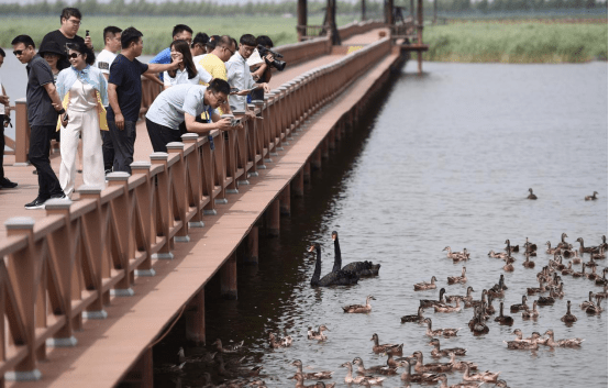 查干湖：保护生态与文旅产业高质量发展两手抓 打造松原城市名片