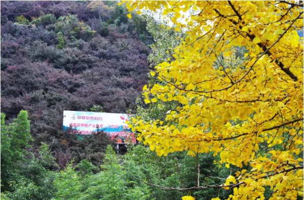 伏牛山下，医圣故里寻仲景