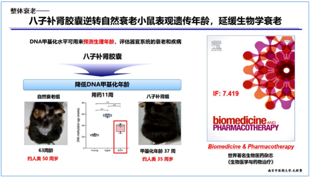 人类衰老有12大机制 目前已证实八子补肾胶囊可调节干预其中6种