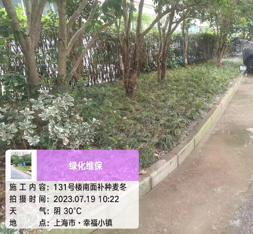 【文明创建】浦东这个镇，“绣”出老旧社区新风貌！