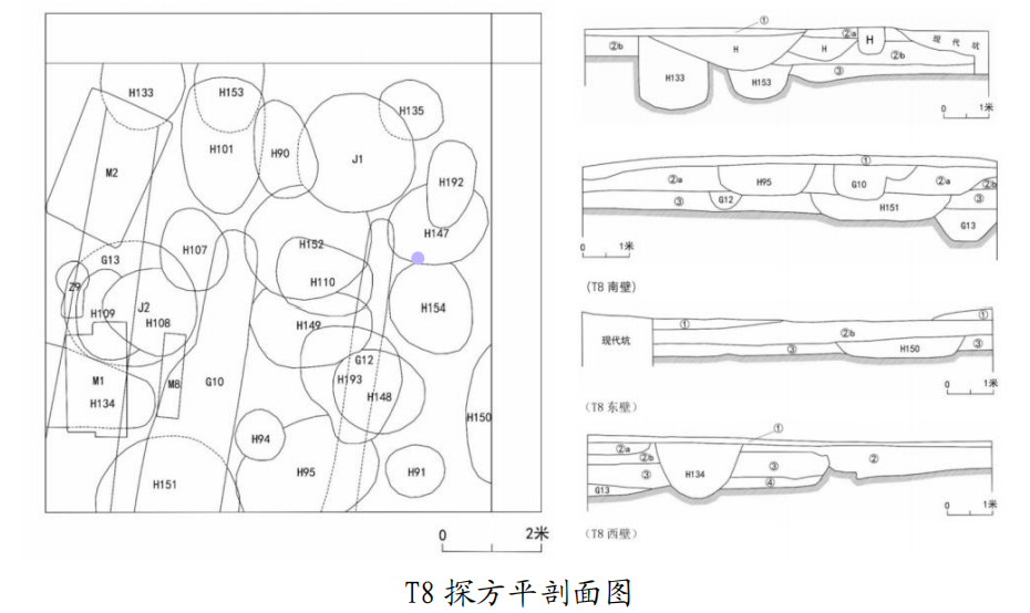 田野间 见真知：北京联大学子深度参与“古都行”考古实践