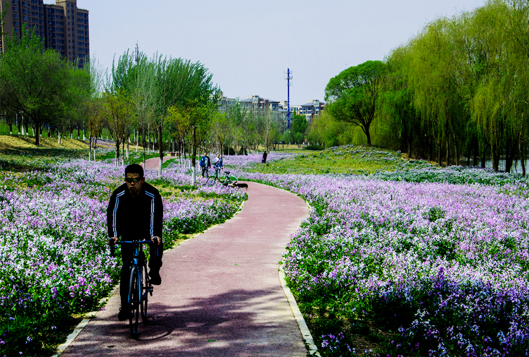 沿健康绿道，感绿隔之美
