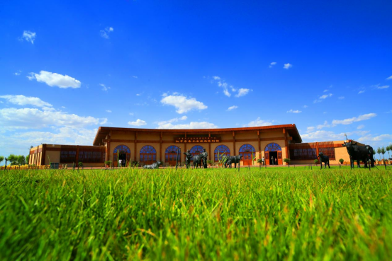 古韵今风：鄂尔多斯的历史与传承