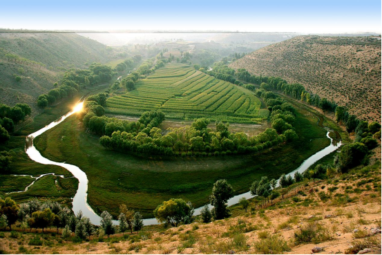 绿色奇迹：鄂尔多斯的生态与生活