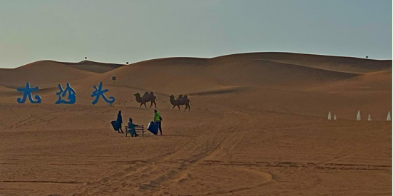 绿色奇迹：鄂尔多斯的生态与生活