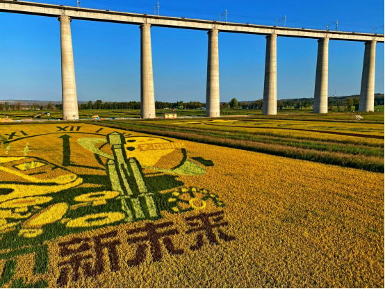 绿色奇迹：鄂尔多斯的生态与生活