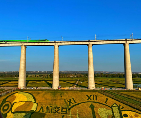 绿色奇迹：鄂尔多斯的生态与生活