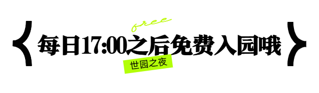带上“毛孩子”一起逛！世园“夜市派对”太全面了