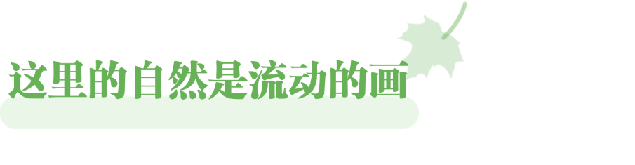跟着“北京大视听”,邂逅新疆的所有美好