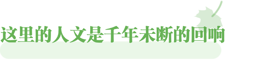 跟着“北京大视听”,邂逅新疆的所有美好