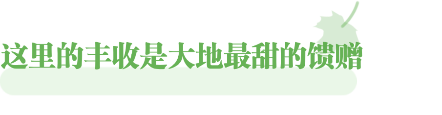 跟着“北京大视听”,邂逅新疆的所有美好