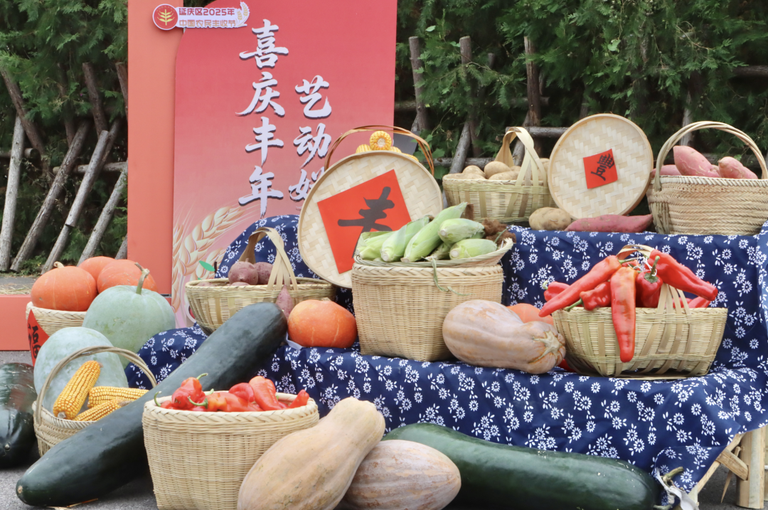 喜庆丰年 艺动妫川~延庆乡亲载歌载舞庆丰收——