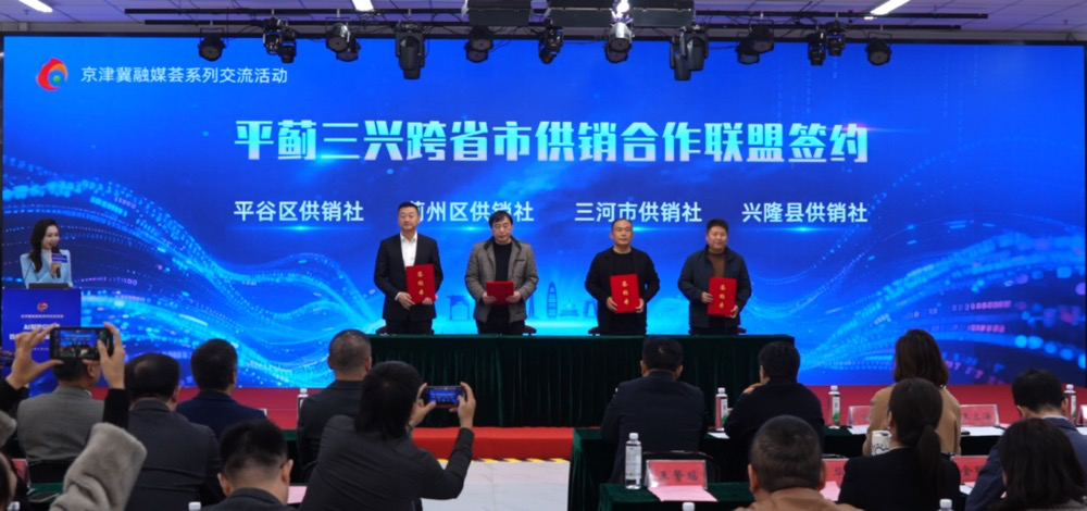 AI赋能京津冀直播产业协同发展?这场研讨会给你答案—