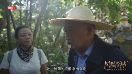 微观处惊雷 ,烟火中见道:《风起杏林》里的东方生命美学——