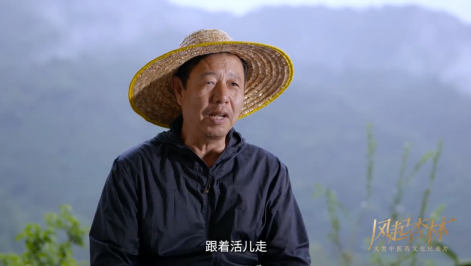 微观处惊雷 ,烟火中见道:《风起杏林》里的东方生命美学——