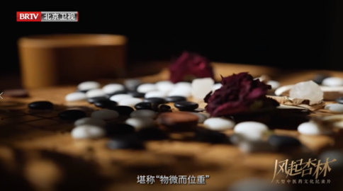 微观处惊雷 ,烟火中见道:《风起杏林》里的东方生命美学——