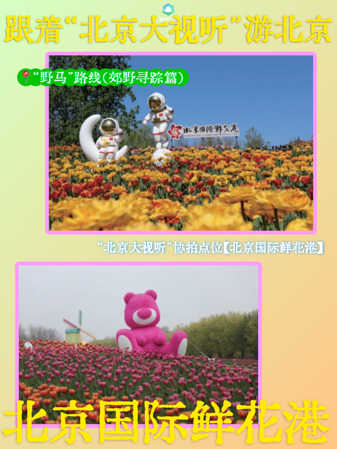 跟着“北京大视听”游北京!这8个地方,藏着影视剧同款风光——