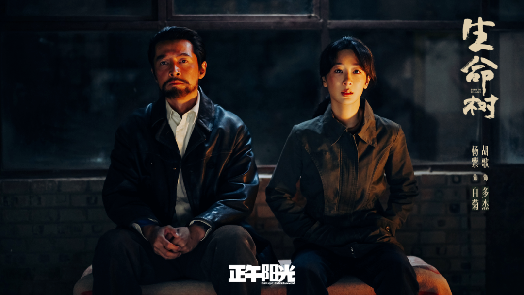 豆瓣8.3分、触达8.34亿人!《生命树》爆火,主创解密四大“破圈密码”