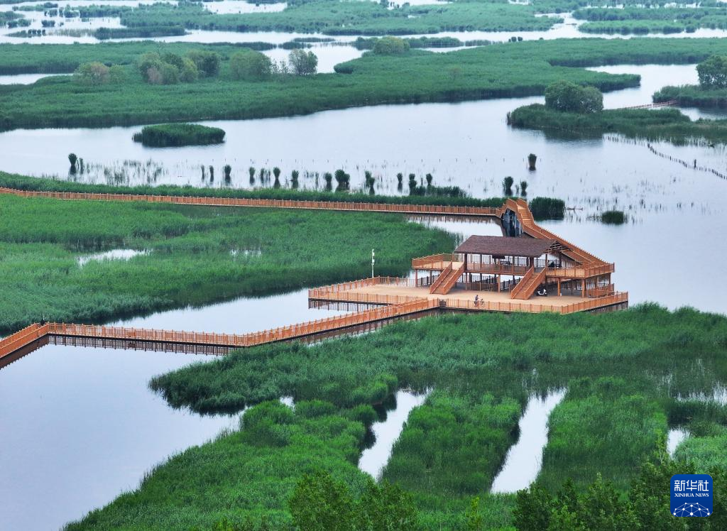 美丽中国丨白洋淀初夏风光