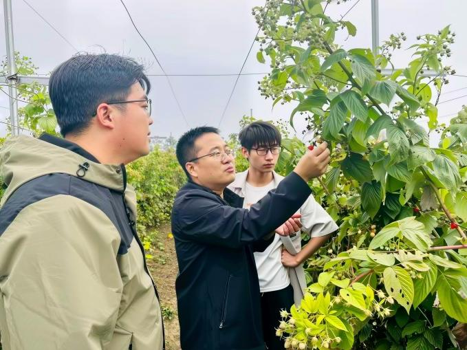 北京高校助力推进教育科技人才一体发展特别报道|北京农学院④:图说北京农学院 北京高校助力推进教育科技人才一体发展特别报道|北京农学院④:图说北京农学院