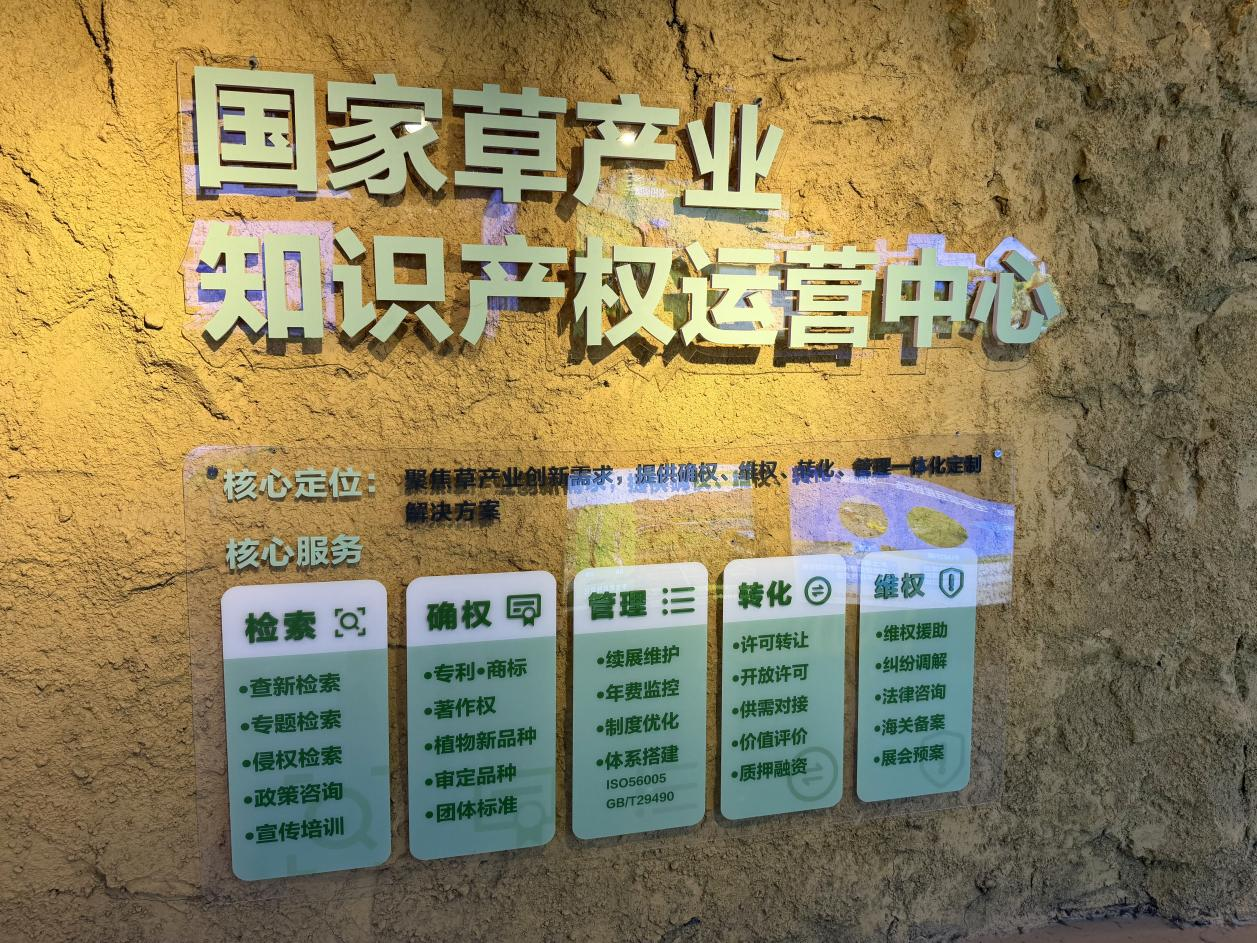 数说绿色 智引发展|一粒种子的法治守护:以种质资源创新赋能生态修复新实践